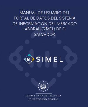Manual de usuario del portal de datos del Simel