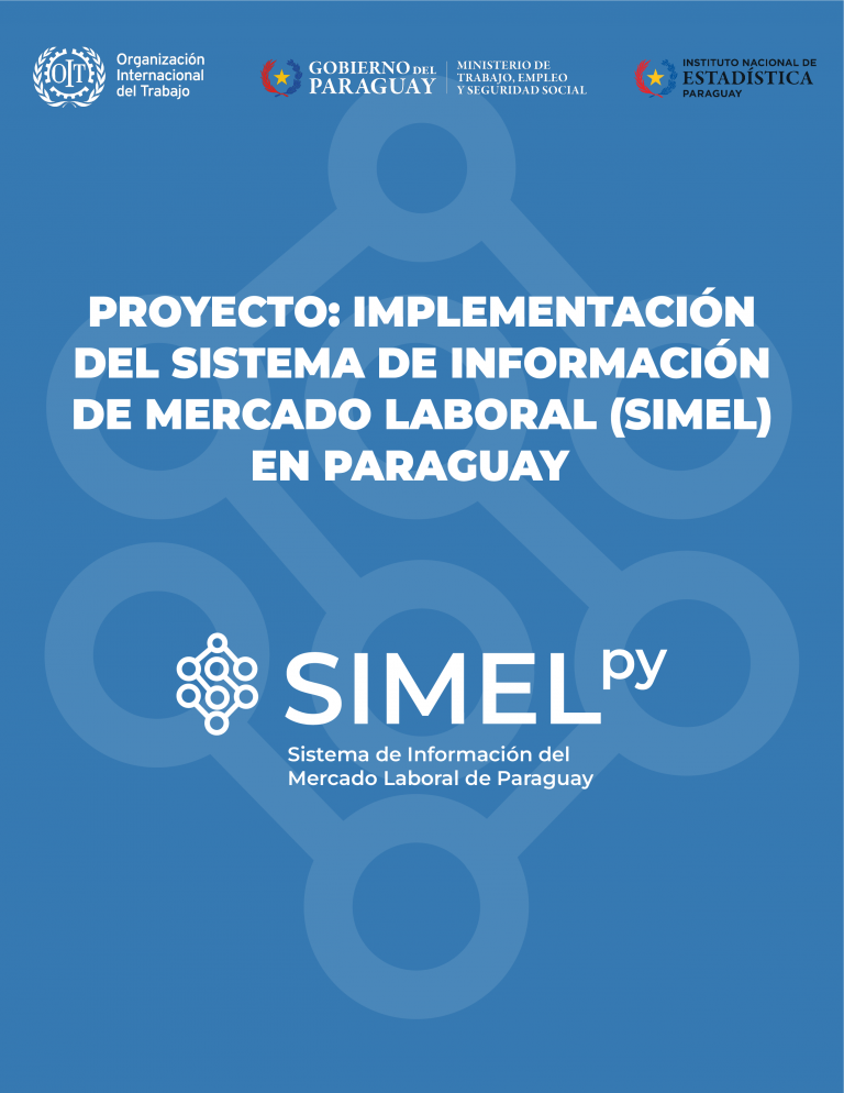 Implementación del Sistema de Información del Mercado Laboral de Paraguay